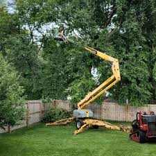 Best Tree Health Inspection  in Douglass, KS